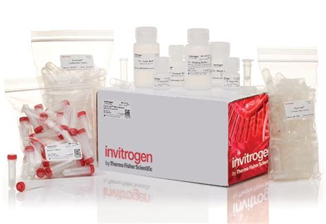purelink dna extraction kit.